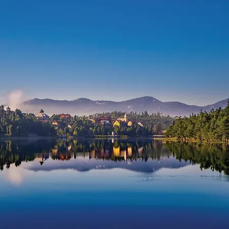 In With Sauna * Mrkopalj