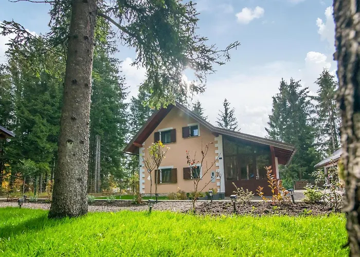 In With Sauna مركوبالج